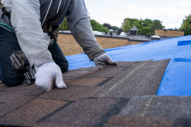 Best Residential Roofing Contractor  in Hurlburt Field, FL