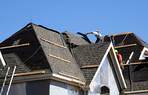 Best Roof Gutter Cleaning  in Hurlburt Field, FL